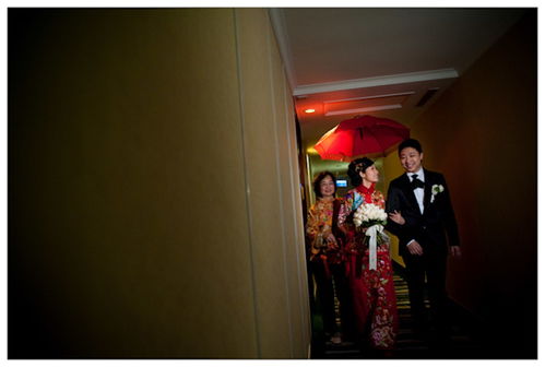 Terry.L Photography 記錄您每一個(gè)珍貴時(shí)刻的專業(yè)捕捉者